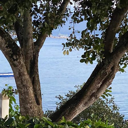 Pescador View - Beachfront & Nearby The Ocean Hostels & Restaurant Moalboal Extérieur photo