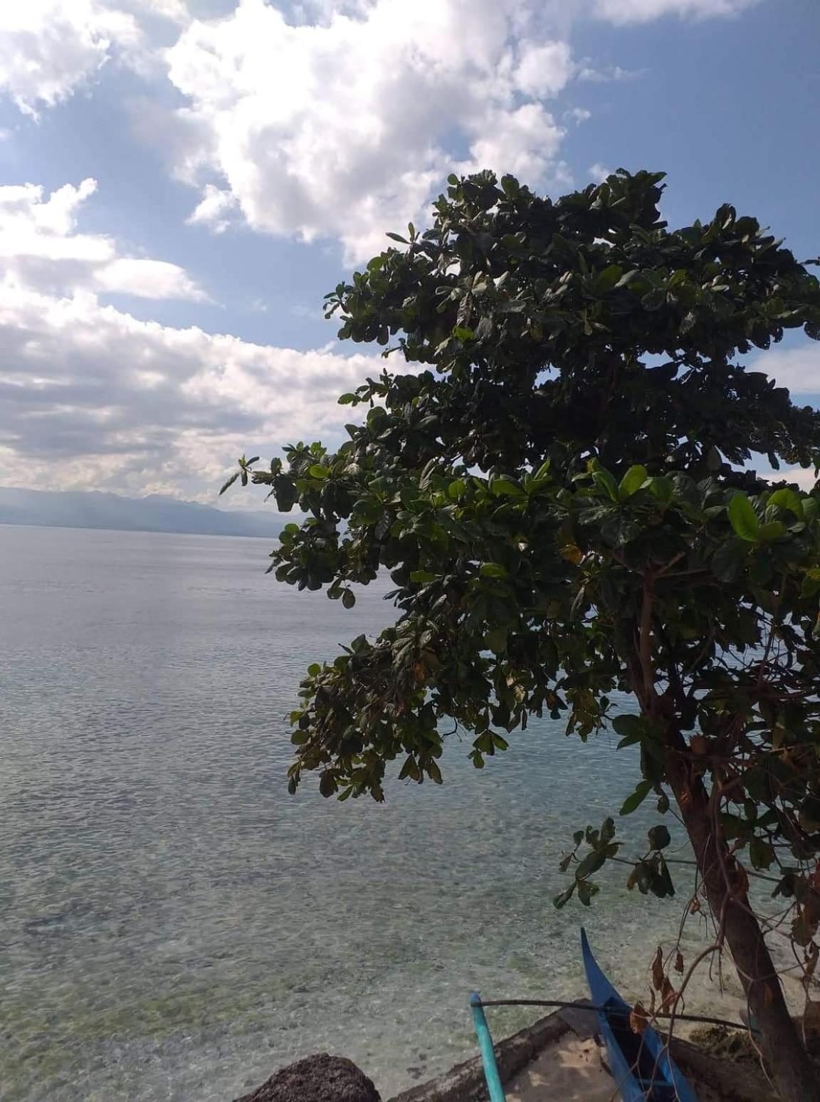 Pescador View - Beachfront & Nearby The Ocean Hostels & Restaurant Moalboal Chambre photo