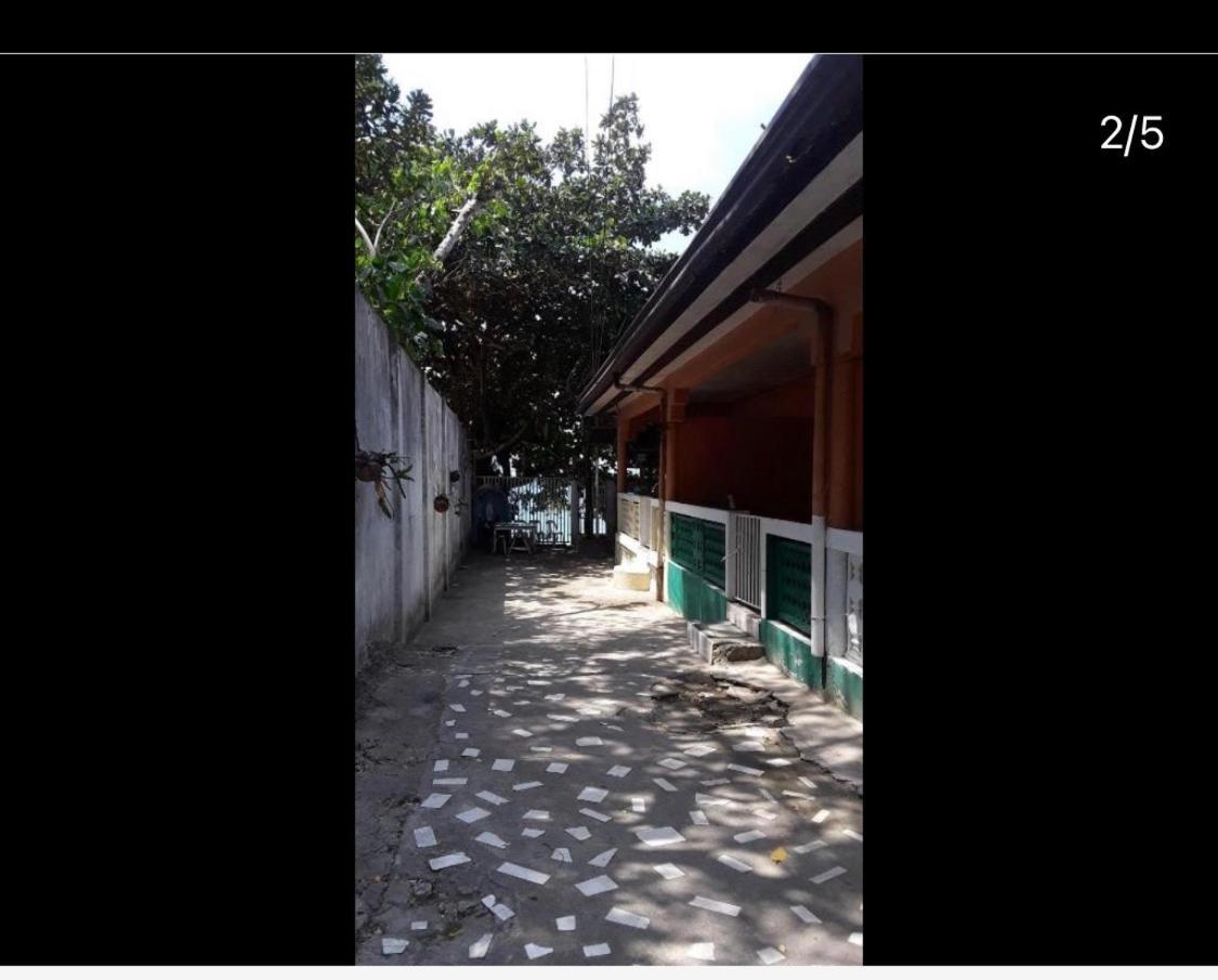 Pescador View - Beachfront & Nearby The Ocean Hostels & Restaurant Moalboal Chambre photo